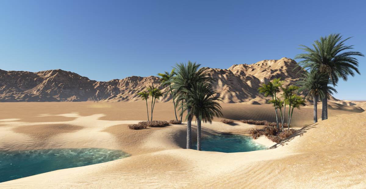 Perfect Oasis